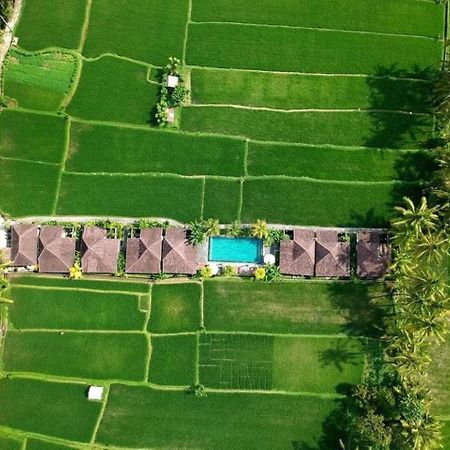 Intan Villa & Suite Ubud エクステリア 写真