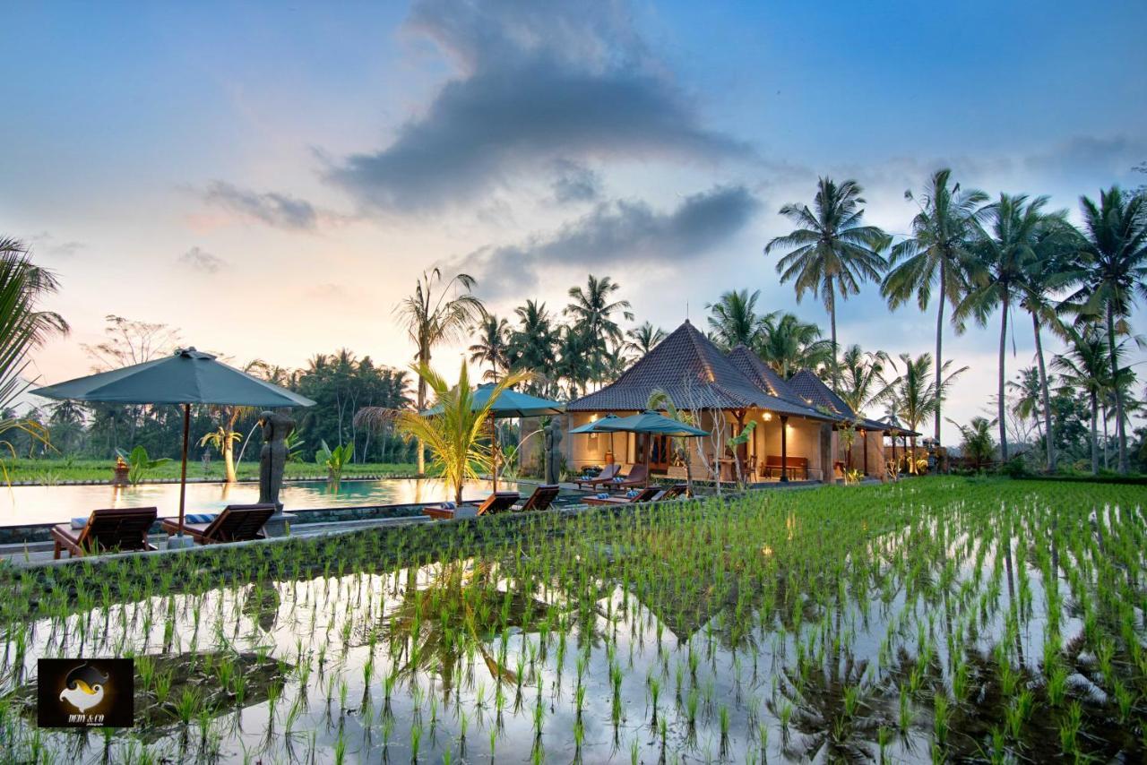 Intan Villa & Suite Ubud エクステリア 写真