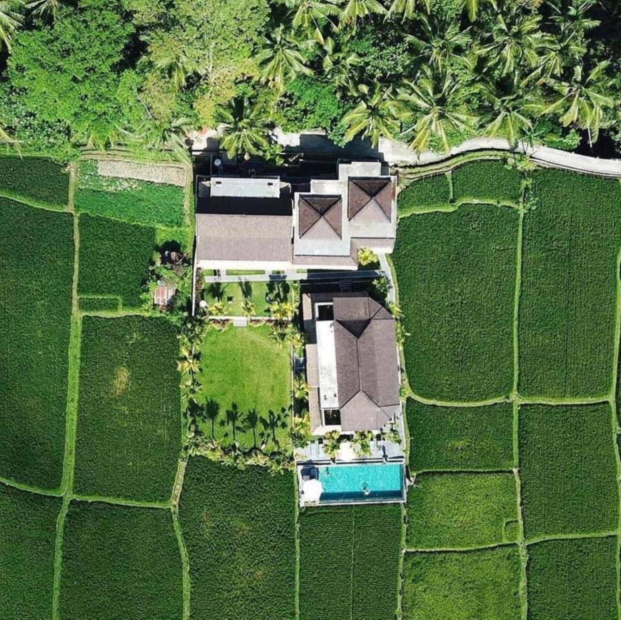 Intan Villa & Suite Ubud エクステリア 写真