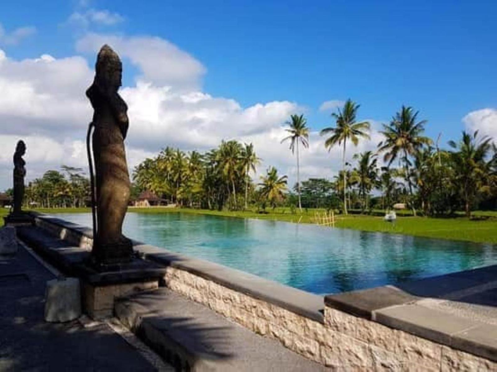 Intan Villa & Suite Ubud エクステリア 写真